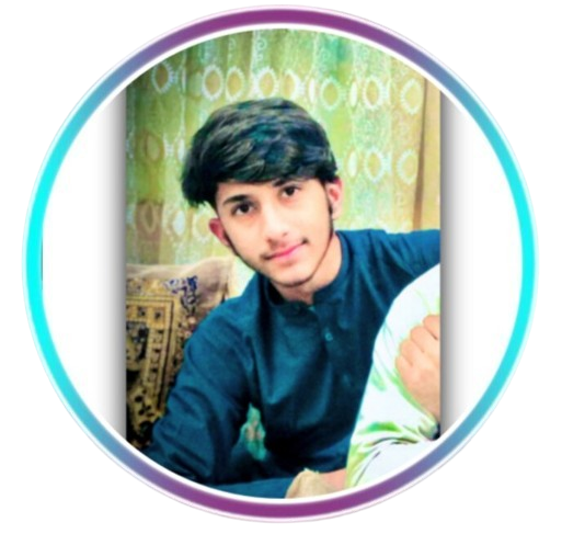 Mr Arman Sherzad